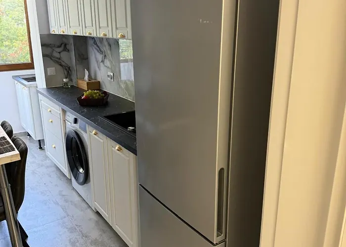 Kiki By The Lujerului Metro Station *